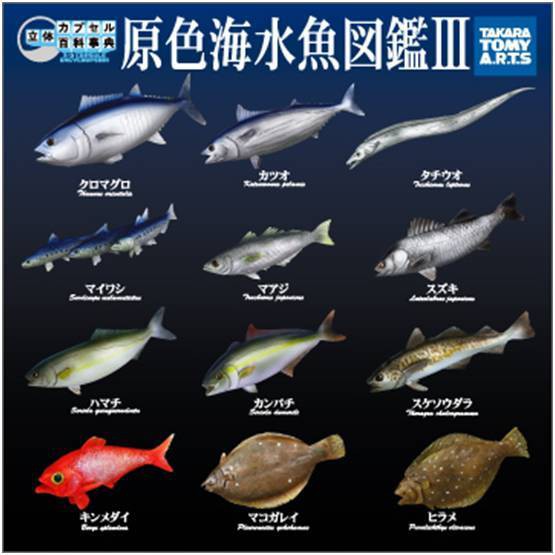 現貨t Arts 原色海水魚圖鑑iii 3 立體百科事典轉蛋扭蛋yujin P3 第三彈魚海水魚 蝦皮購物