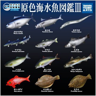 Epoch 轉蛋地球生命紀行活化石篇龍宮貝象魚腔棘魚肺魚恐龍蝦娃娃魚隱藏版 蝦皮購物