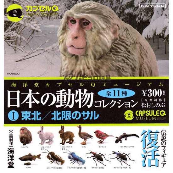 (現貨) 海洋堂 CAPSULEQ 膠囊Q博物館 日本動物收藏集P1 東北 北限篇 轉蛋 扭蛋 藍龍蝦 龍蝦