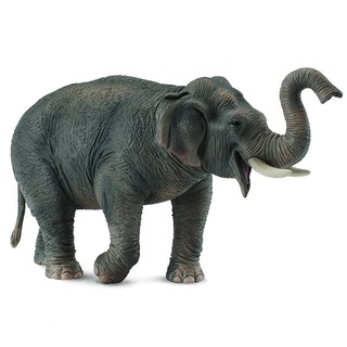 COLLECTA動物模型 - 亞洲象 < JOYBUS >