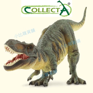CollectA英國高擬真動物模型 1:40大恐龍系列 暴龍