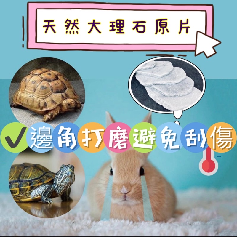 大理石原片 散熱片 涼墊 兔子用品 寵物降溫 防滑片 刺蝟 倉鼠 陸龜 澤龜