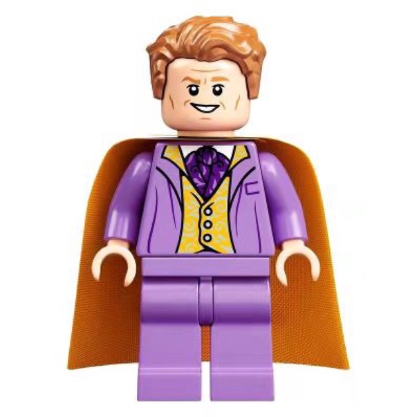 樂高 LEGO Gilderoy Lockhart（75978 hp243）