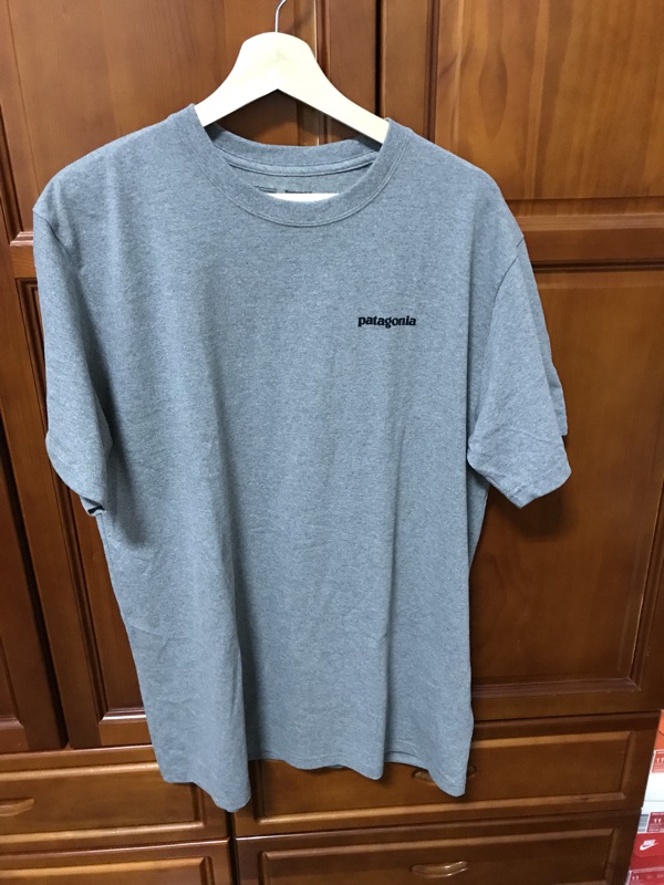 Patagonia 2018SS P-6 Logo Responsibili Tee