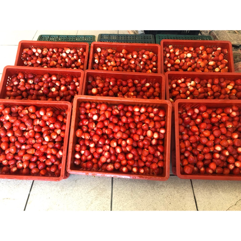 冷凍草莓草莓冰沙草莓果汁無農藥草莓大湖草莓無毒草莓 蝦皮購物