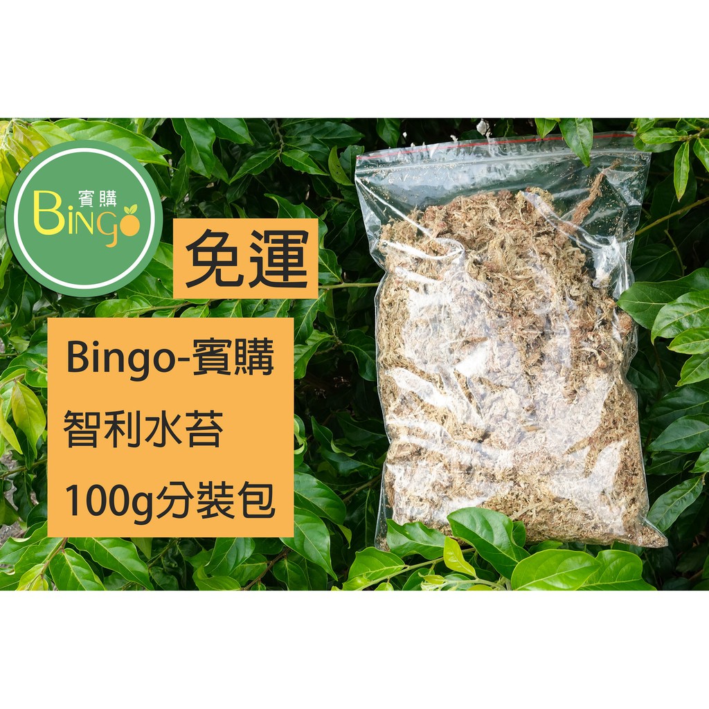 口碑no 1 Bingo賓購 智利水苔 智利水草 100g小包裝分裝包 蝦皮購物