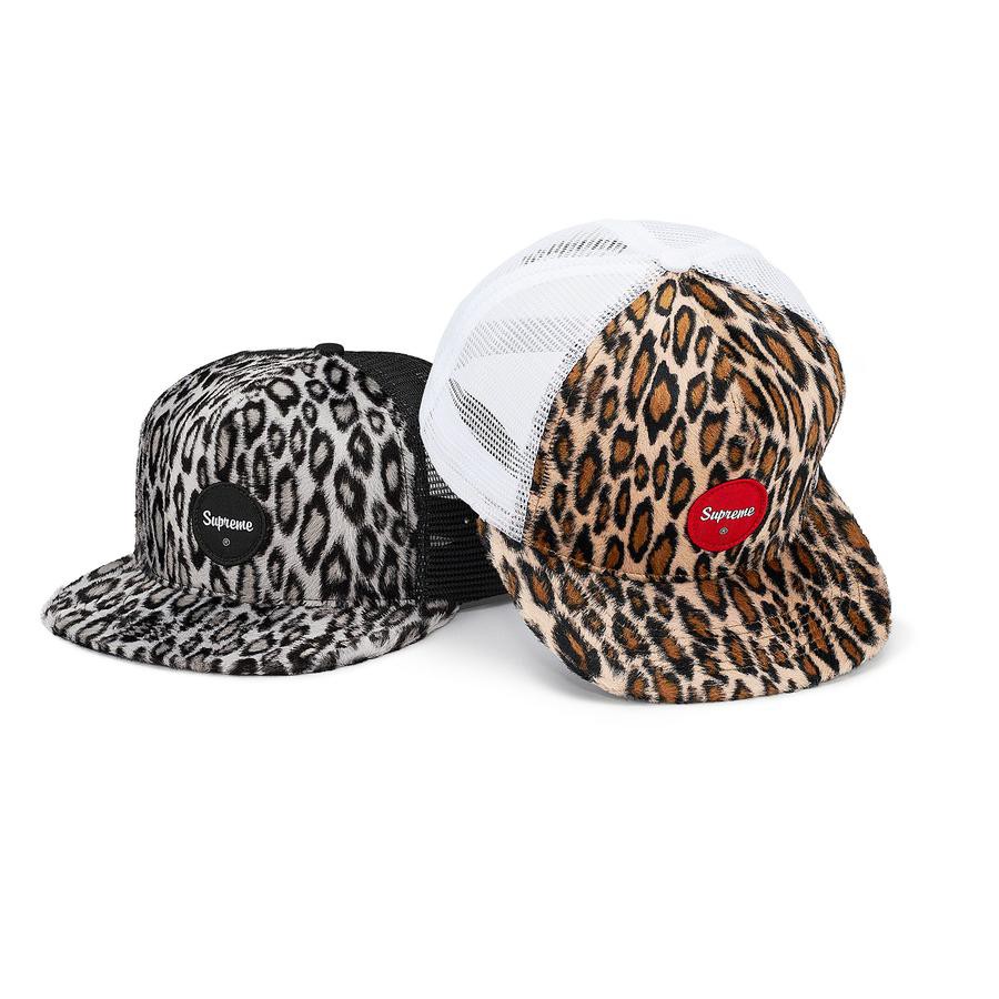【紐約范特西】預購 Supreme SS20 Leopard Mesh Back 5-Panel 豹紋 網帽