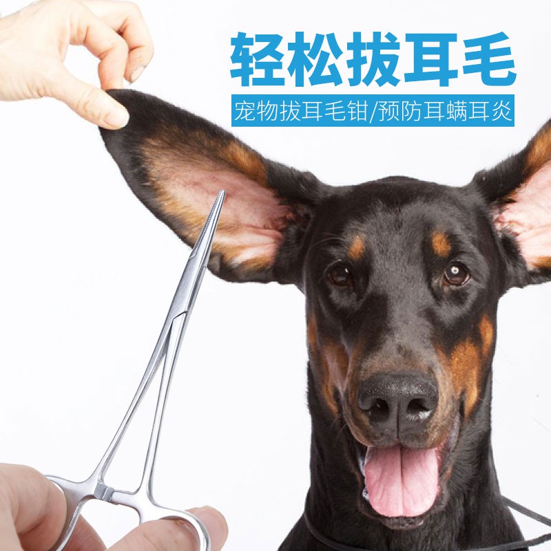 寵物止血鉗寵物狗狗拔耳毛鉗狗耳朵拔毛神器泰迪貓咪耳朵清潔用品止血鉗子 蝦皮購物