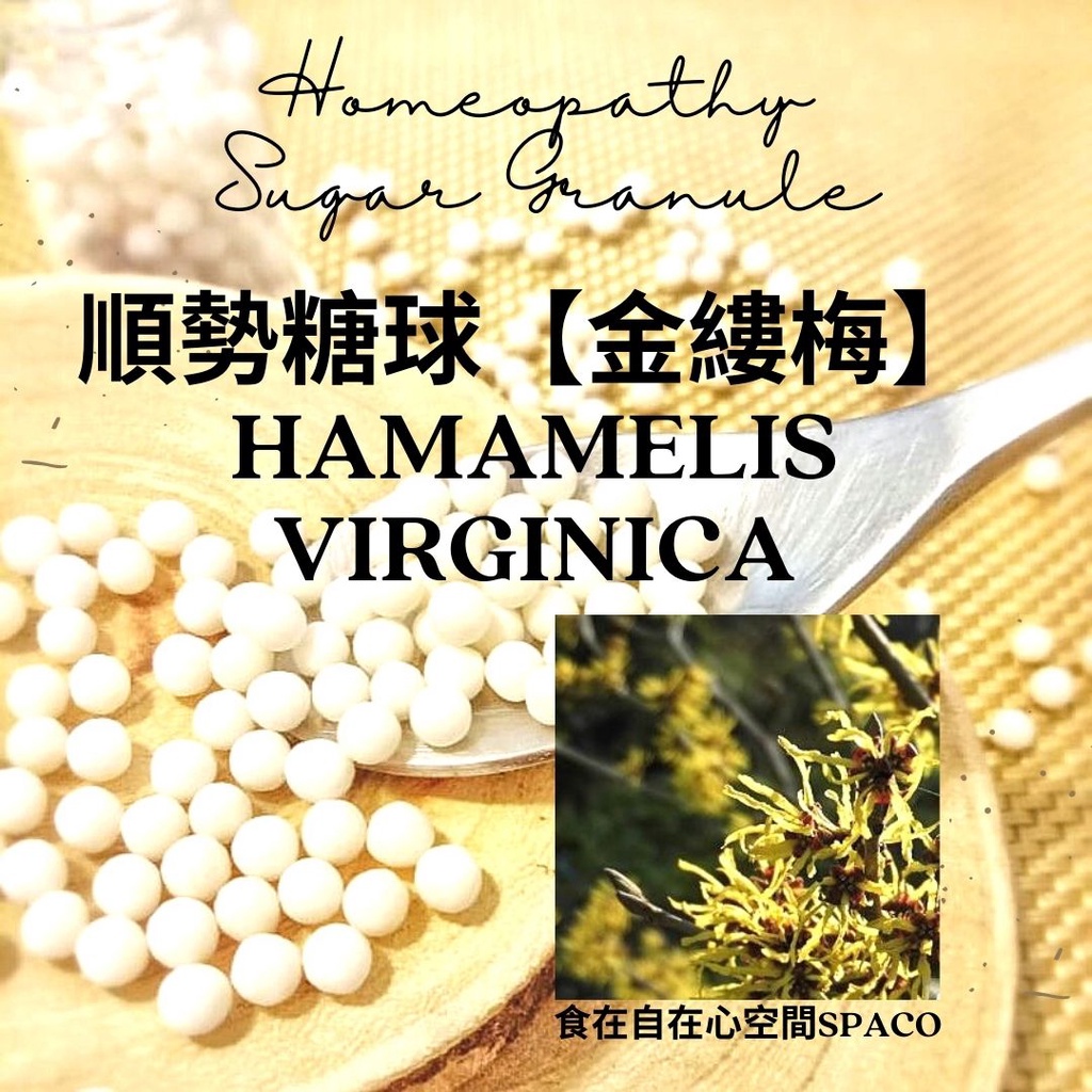 順勢糖球【金縷梅●Hamamelis Virginica】Homeopathic Granule 9克 食在自在心空間