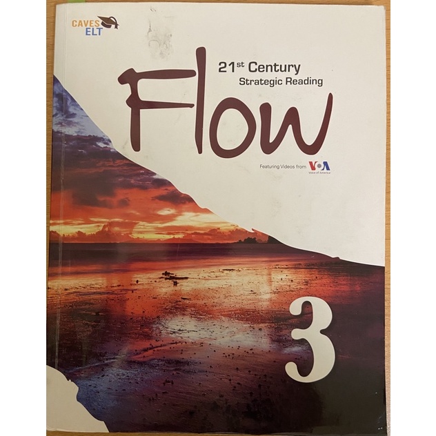Flow-21st Century Strategic Reading 3