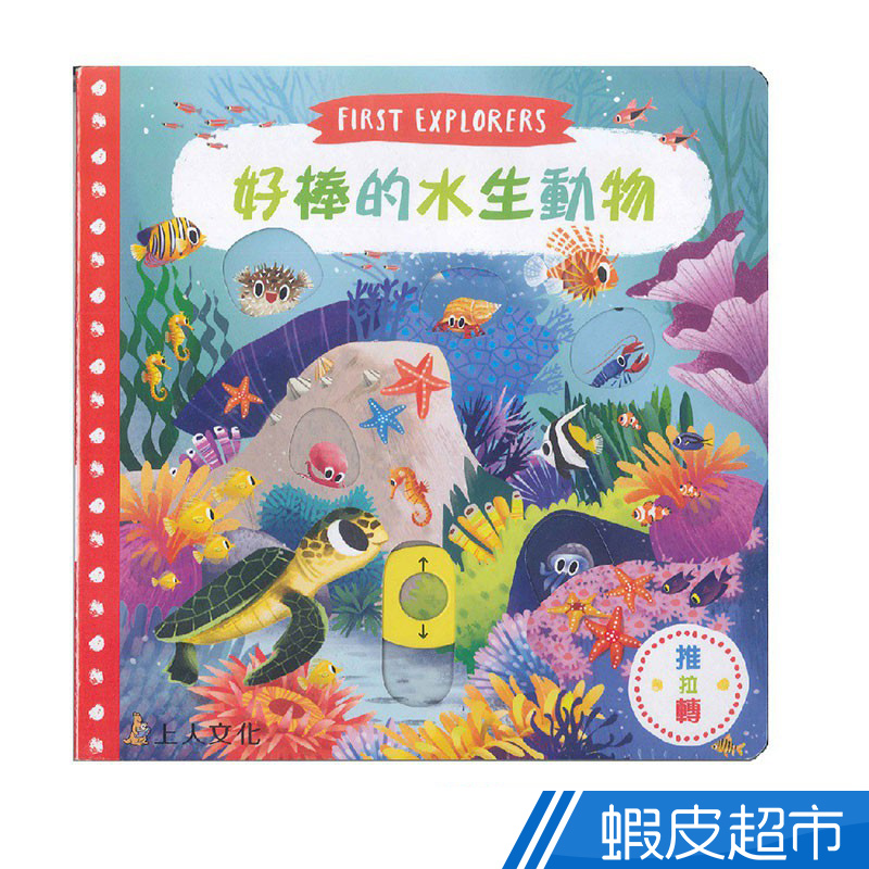 上人文化好棒的水生動物現貨蝦皮直送 蝦皮購物