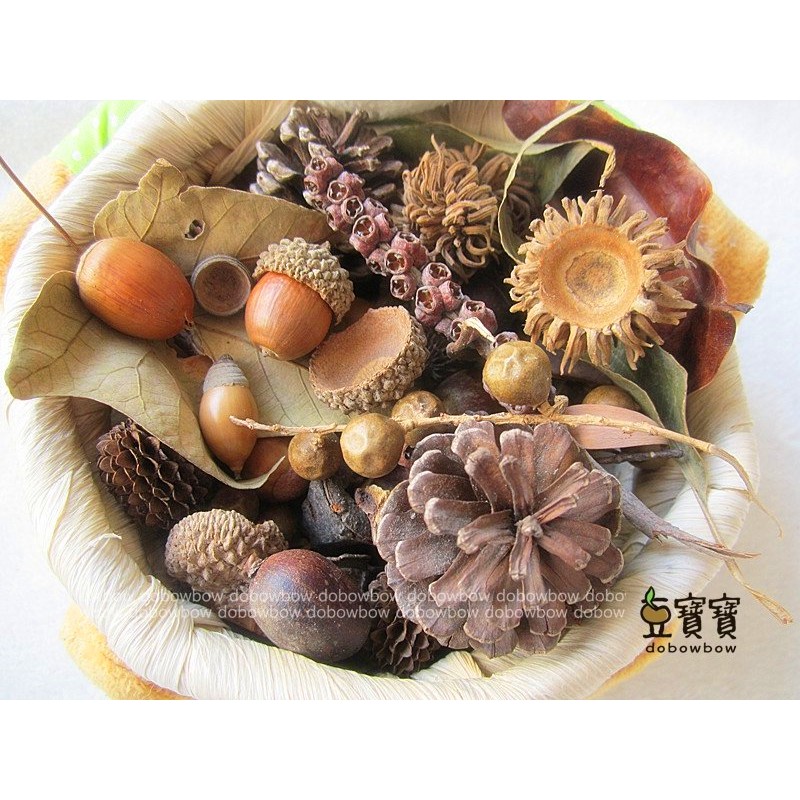 豆寶寶 乾燥花材 天然素材果實綜合包  DIY手作 花圈裝飾材料