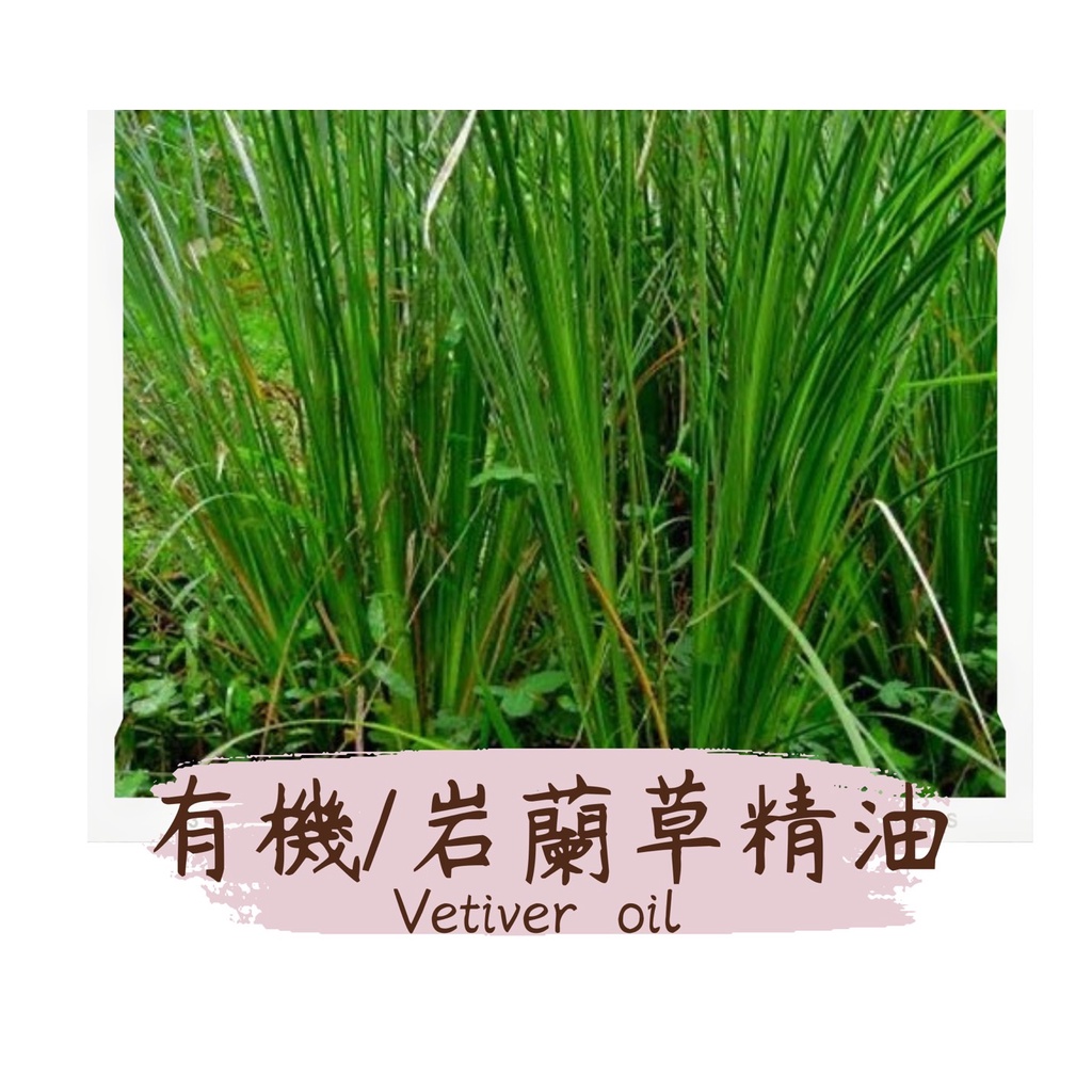 Afk004 原裝有機岩蘭草精油香草根 100g 蝦皮購物