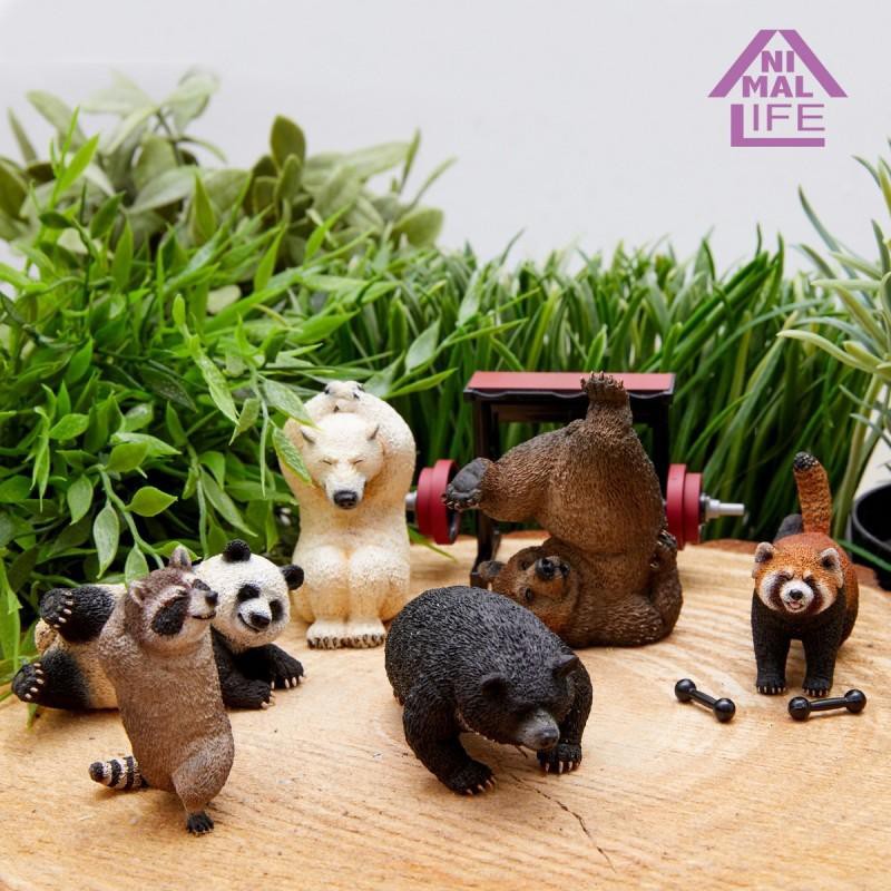 朝隈俊男animal Life 動物生活系列shaking 健身動物全六種中盒8入現貨 蝦皮購物
