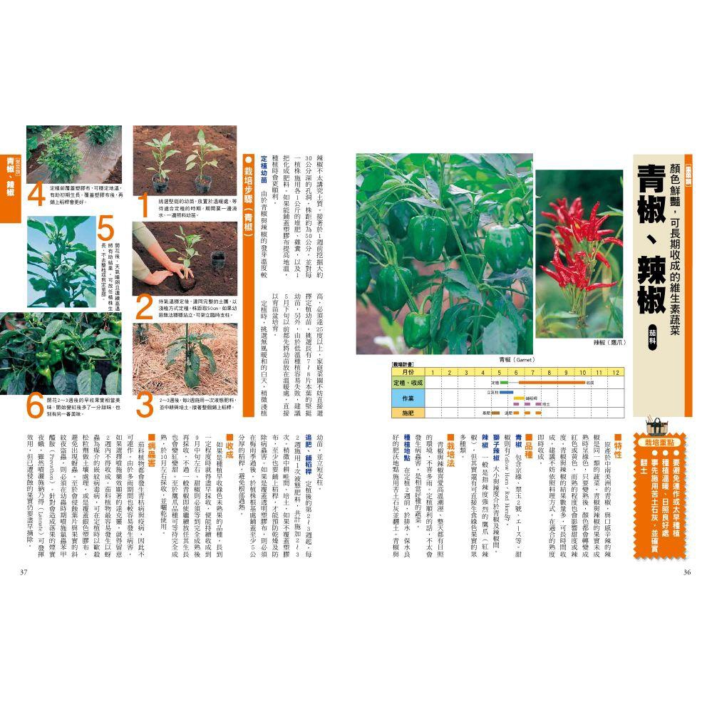 新手種菜100招 自己種出70種家常菜 新井敏夫 監修誠品eslite 蝦皮購物