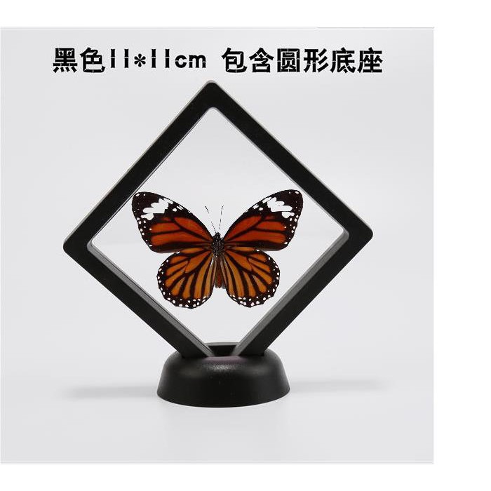 蝴蝶標本的價格推薦第18 頁 21年6月 比價比個夠biggo