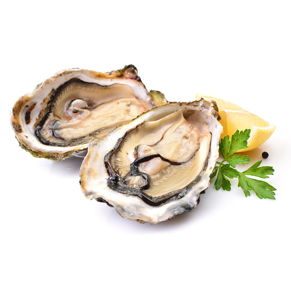 大江生鮮 廣島帶殼牡蠣180g 顆 全殼生蠔 帶殼生蠔 全殼牡蠣 蚵仔 鮮蚵 蝦皮購物