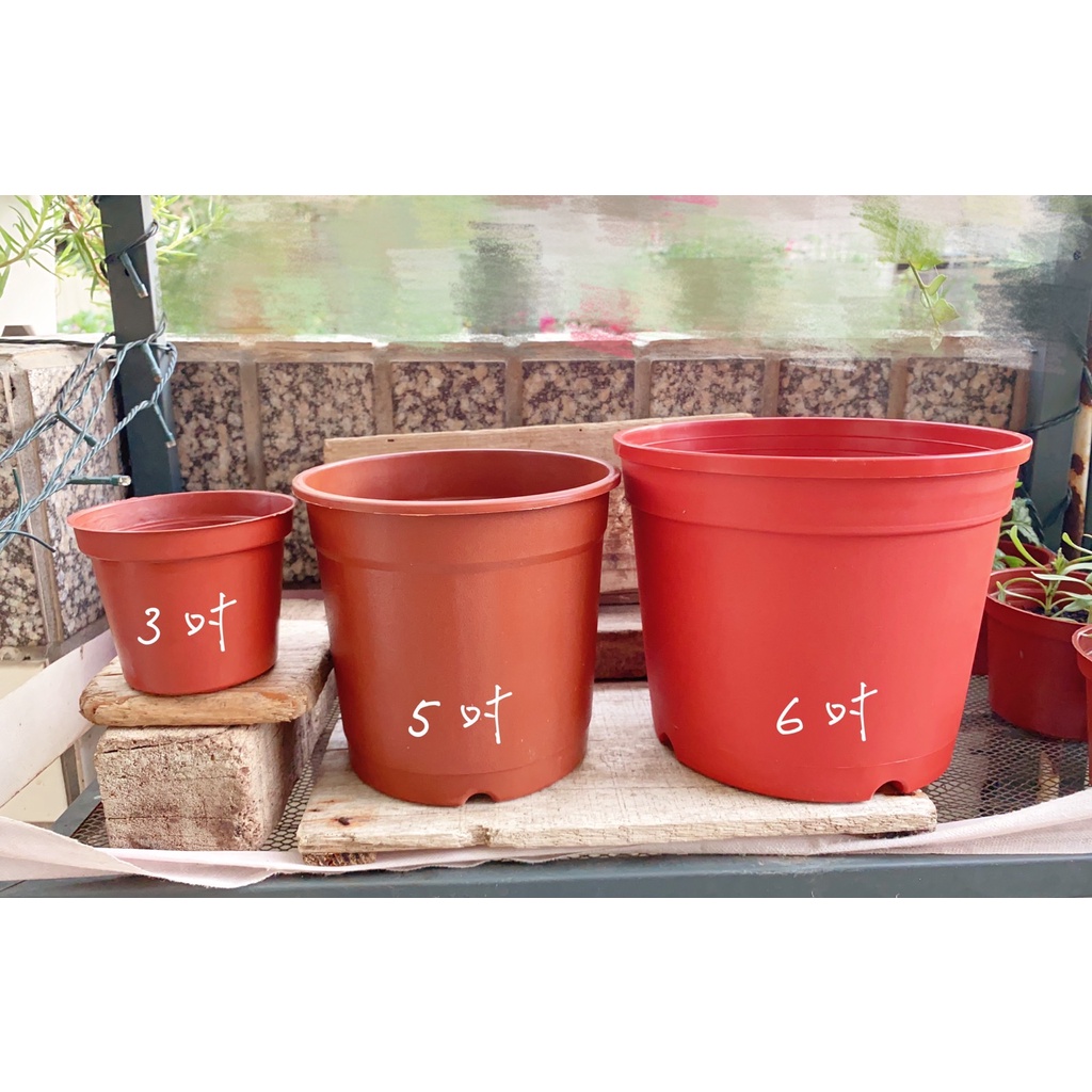 3吋塑膠盆 Ptt與dcard推薦網拍商品 2021年12月 飛比價格