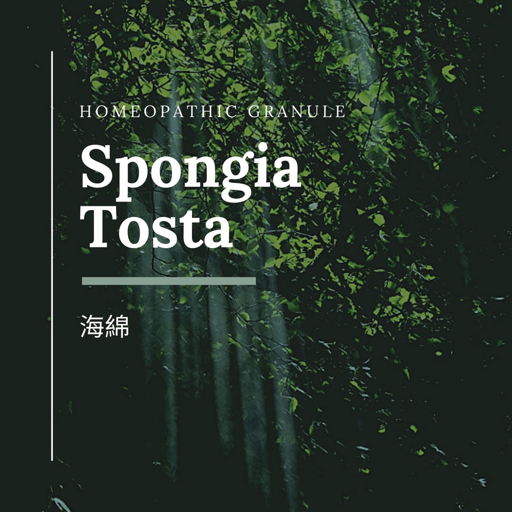 順勢糖球【海綿●Spongia Tosta】Homeopathic Granule 9克 食在自在心空間