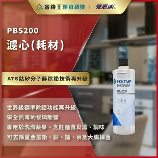 【詢問最低價】愛惠浦 原廠公司貨 家用淨水濾芯 PBS200 濾心 PBS 除鉛碳纖維系列 雷射標籤