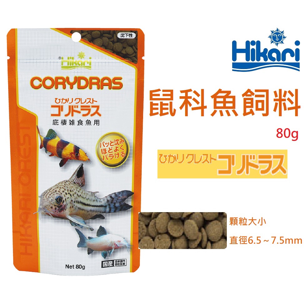 [HAPPY水族] 日本 Hikari 高夠力 鼠科魚飼料 80g 鼠魚飼料 底棲魚飼料 沉底飼料 HK-28316