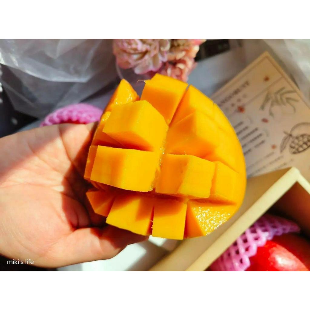 MangoBusy • 芒果很忙  外銷日韓 芒果禮盒  夏令限定 (5公斤大果15粒裝)(豔麗級）