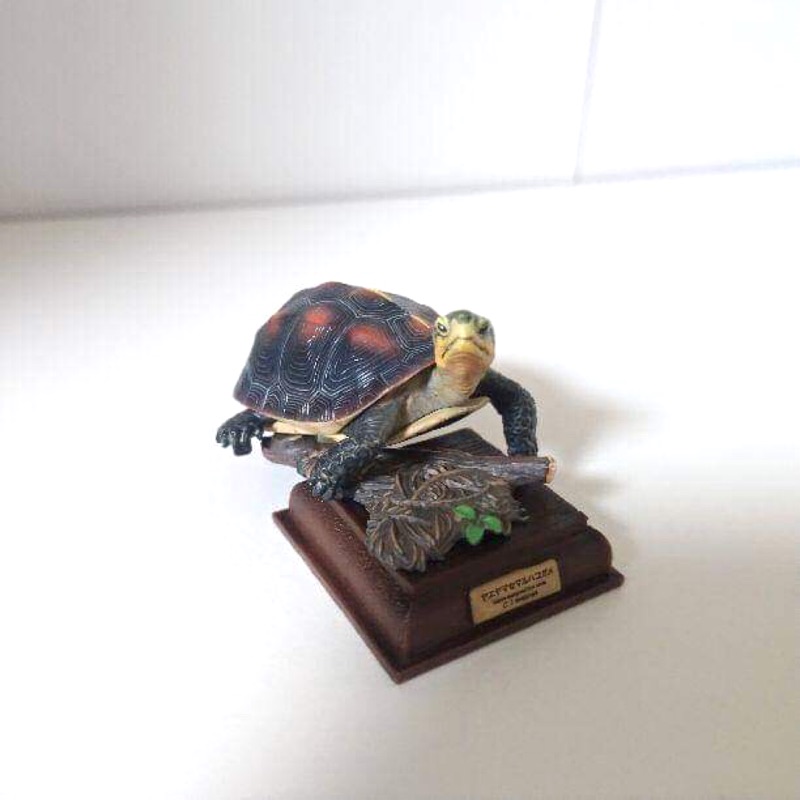 NTC圖鑑 奇譚 日本的烏龜 食蛇龜