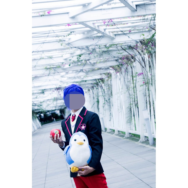 輪るピングドラム 旋轉企鵝罐 轉企鵝罐高倉冠葉晶馬cosplay服裝假髮 蝦皮購物