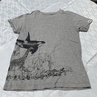 兒童衣 男童 動物 海洋生物 Discovery 短袖上衣 UT T恤 Uniqlo 130 二手