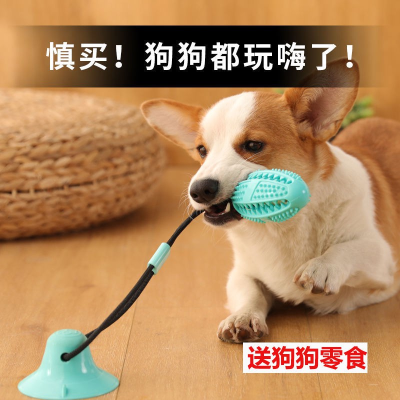 狗狗吸盤玩具耐咬磨牙吸地球大型犬解悶拔河狗狗發聲益智力漏食球現貨 蝦皮購物