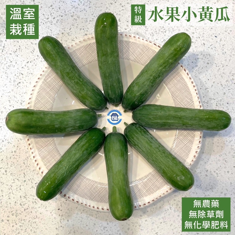 100%無農藥栽種 友善耕作 無毒栽培 🥒水果小黃瓜 特級高品質小黃瓜 清脆多汁 草地狀元小黃瓜 草地狀元水果小黃瓜