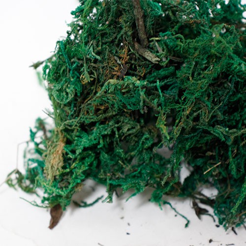 插花用品 人造水草 小包裝 仿真花專用填充配件花藝設計居家生活裝飾造景輔助修飾組合盆栽 蝦皮購物