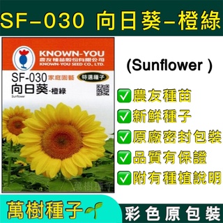 【萬樹種子】SF-030 向日葵-橙綠 特選花卉種子 農友種苗 彩色密封 原廠包裝