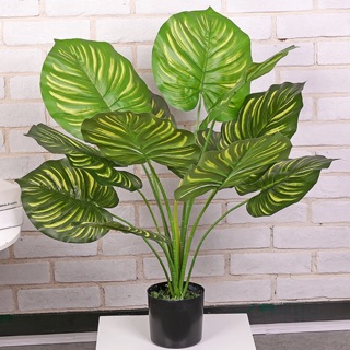 擬真植物❤️免運費❤️新品上市 模擬春芋 春雨 假綠植物 落地盆栽 龜背葉 室內設計 客廳 櫥窗 室內辦公擺件裝飾