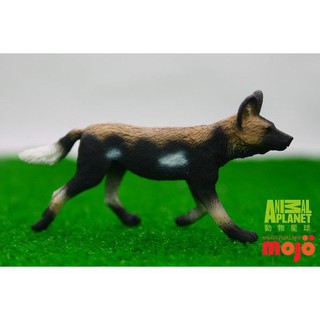 玩得購【MOJO FUN 動物模型】動物星球頻道獨家授權-非洲獵狗 387110