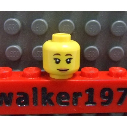 【積木2010-人偶頭】Lego樂高-全新 人頭485 女性棕眉淡紅唇笑臉人頭/女生人頭