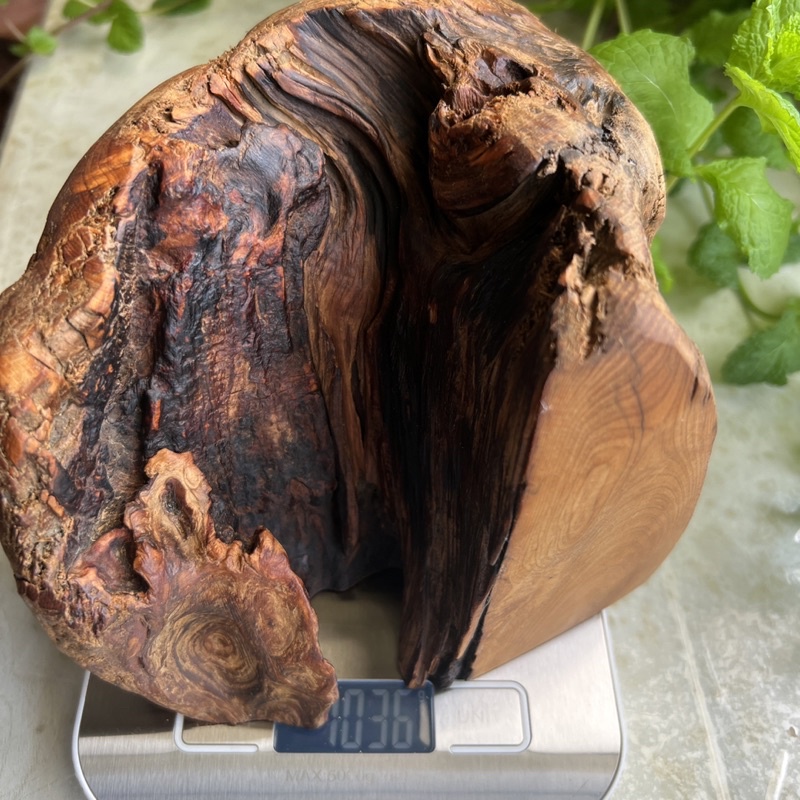 台灣檜木 黃檜（扁柏）重油根瘤擺件 沉手 重紅油香茅味 硬骨瘤體 Y541
