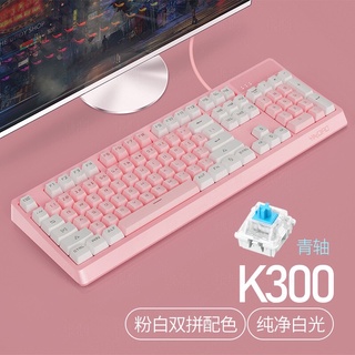 🔥免運費🔥中文注音 銀雕K300 有線鍵盤拼色22種燈效白光面板可拆 電競鍵盤 青軸鍵盤 文書鍵盤 遊戲鍵盤