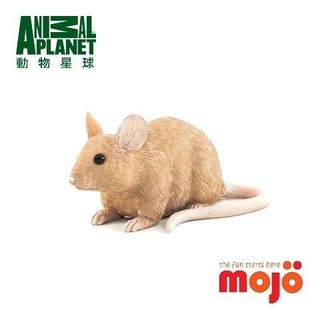 動物模型 MOJO FUN 小老鼠 小白鼠
