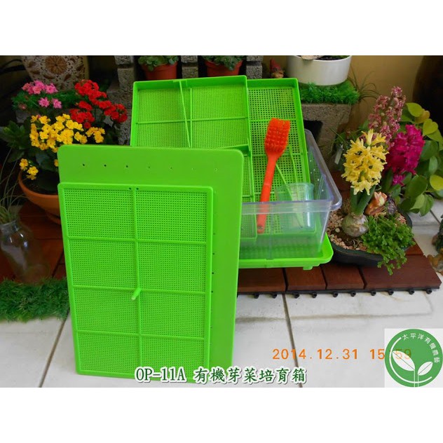 台灣製 Op 11a 透明 有機芽菜培育箱 大小孔培育網各1 育苗箱 種菜機 水耕栽培diy與設備 育苗盤 蝦皮購物