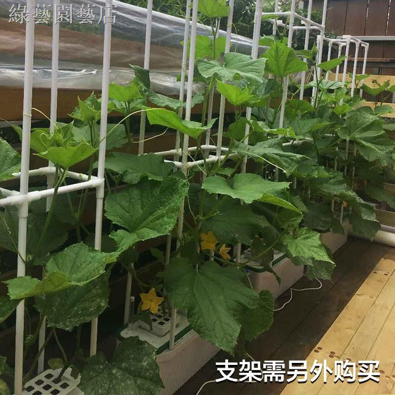 家庭菜園 拍賣 評價與ptt熱推商品 21年5月 飛比價格
