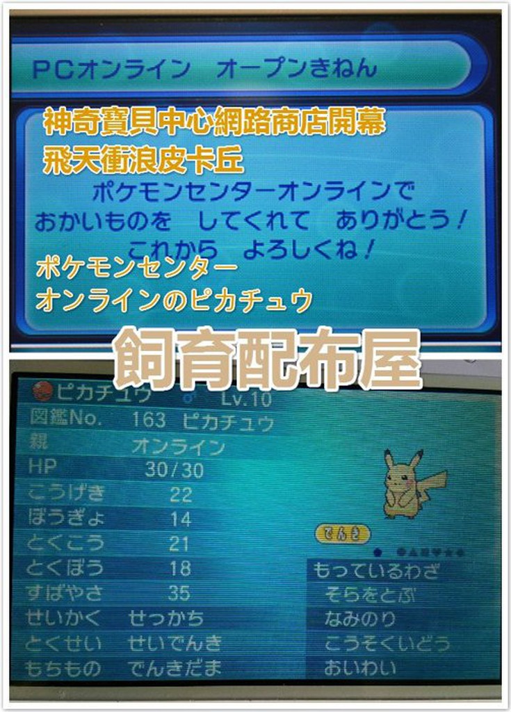 中心配布 神奇寶貝配信配布衝浪飛天皮卡丘6v X Y Oras 寶可夢紅寶石藍寶石 蝦皮購物