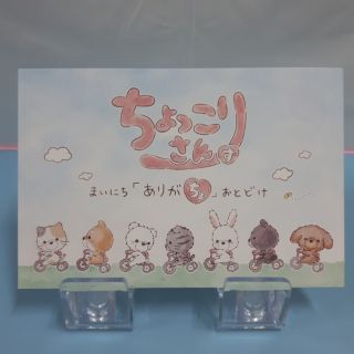 日本代購帶回 動物系列 坐姿娃娃 拍照娃娃 特典限定 明信片