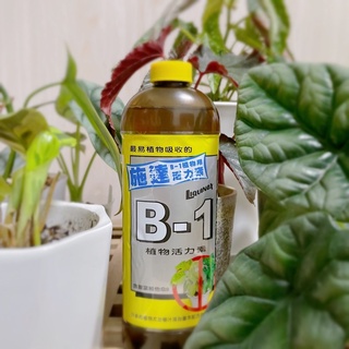 ［栽生活］施達B1活力素 B4養葉肥 植物營養品 換盆 植物扞插 幫根系發展 #1