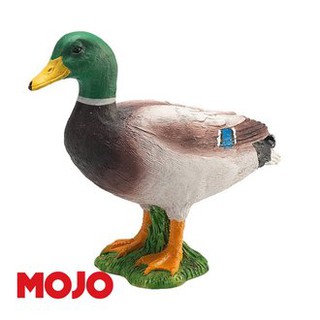 【小瓶子的雜貨小舖】MOJO FUN 動物模型 動物星球頻道獨家授權-綠頭鴨 387127 教具 擺飾