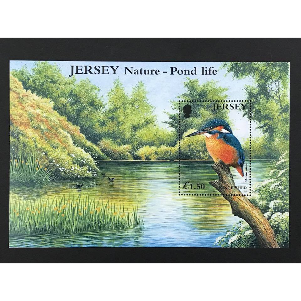 澤西島郵票 2001 池塘自然生態 小型張 1全