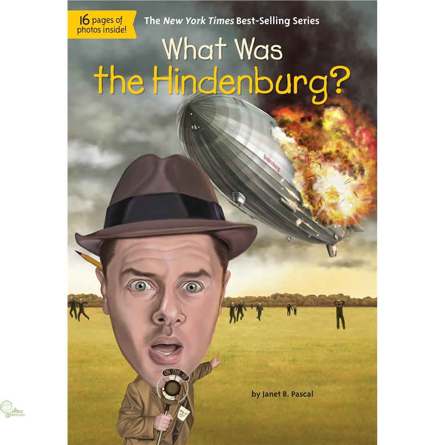 What Was the Hindenburg?