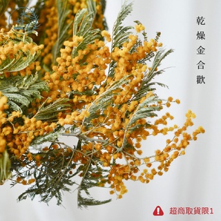大好屋 現貨 金合歡 乾燥花 永生花 居家裝飾花材 拍攝道具 捧花 胸花 桌花 花束 不凋花 手作素材 鄉村風 乾燥花