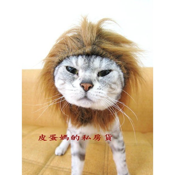 【魯蛋爺收藏品】DEC0058 獅子王變身頭套 寵物變身帽 動物帽 獅子帽 獅子頭套 獅子假髮