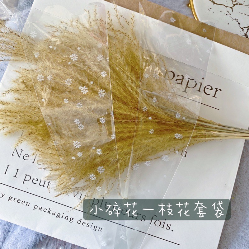 透明花袋 Ptt Dcard討論與高評價網拍商品 21年9月 飛比價格